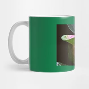 Flamingo flower Mug